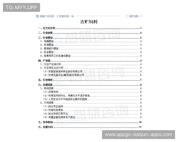 球员状态评估报告
