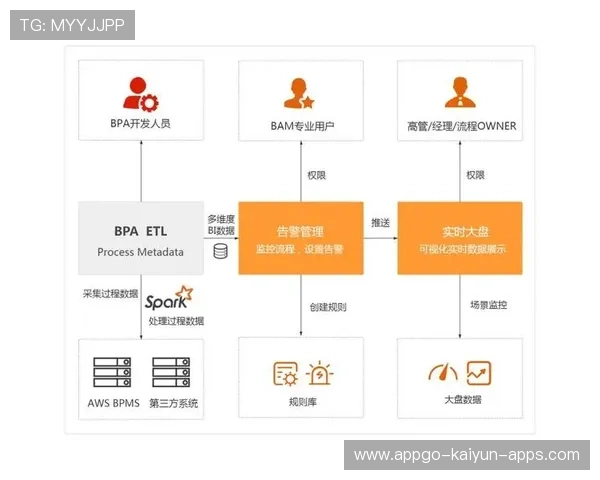 职业俱乐部的管理决策流程优化